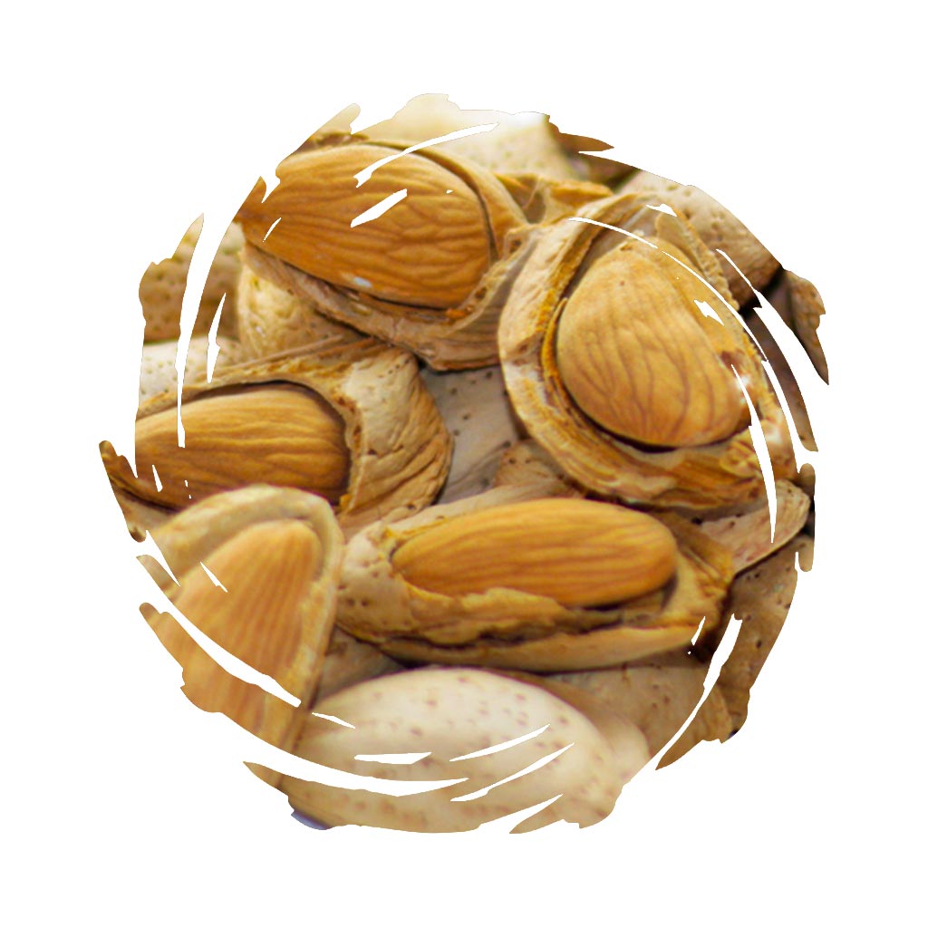 https://ramoninternational.com/upload/RIcXPLs1659849878Olq.jpg